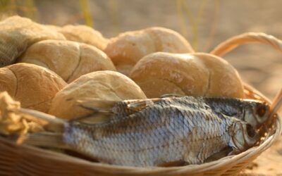 Sermon: Jesus Shows Us Who He Is