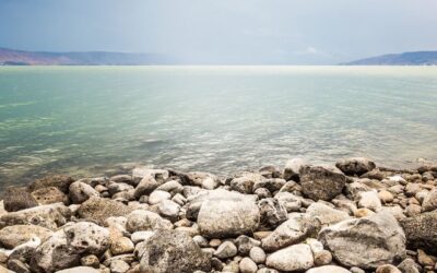 Sermon: The Expulsive Power of New Affections